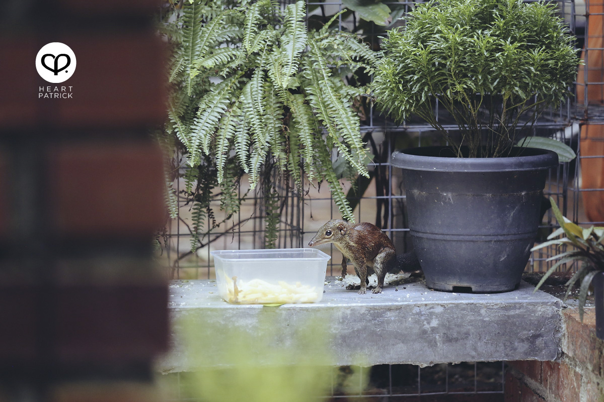 heartpatrick heartifacts industrial vintage furniture renovations