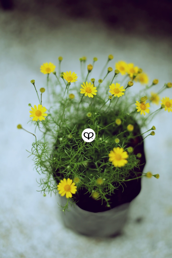 heartpatrick heartifacts industrial vintage furniture renovations