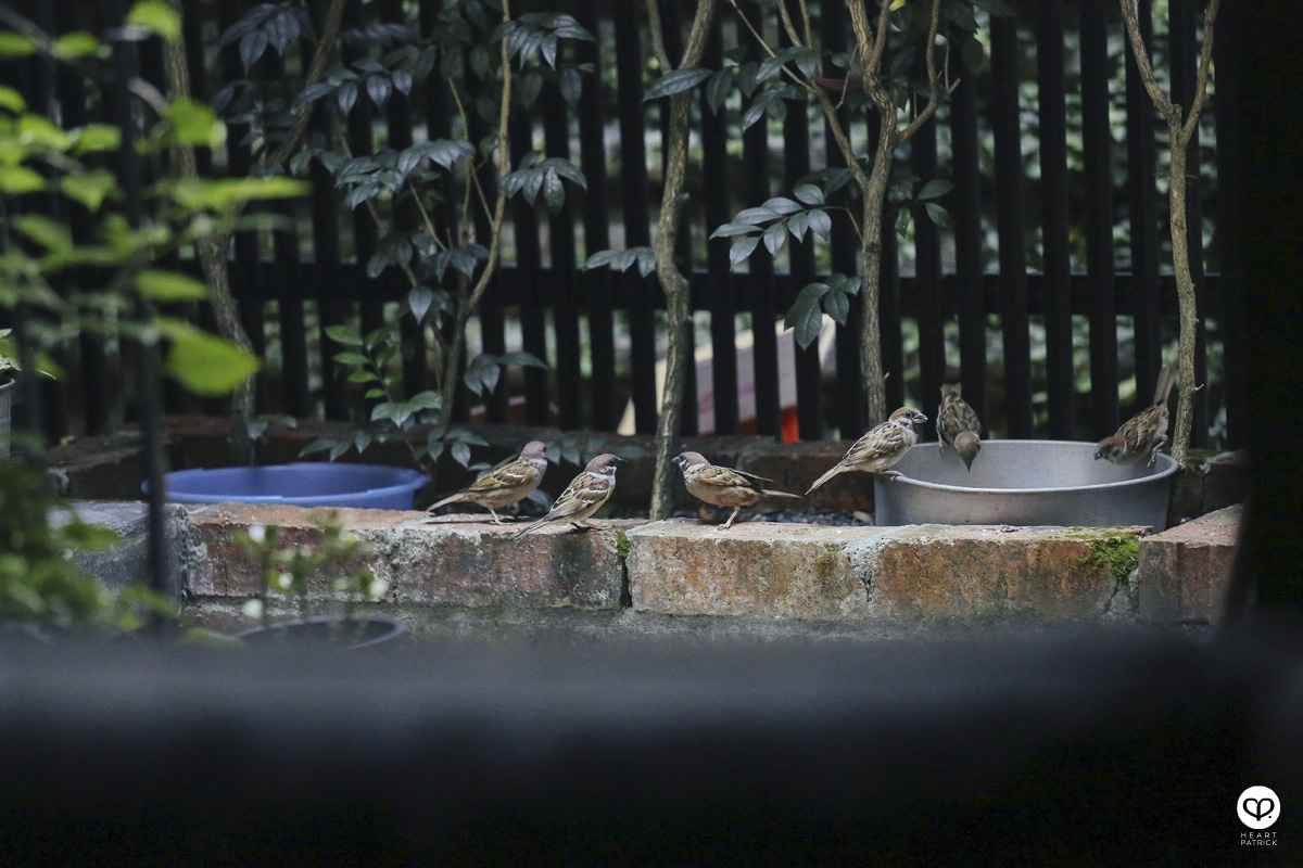 heartpatrick heartifacts industrial vintage furniture renovations