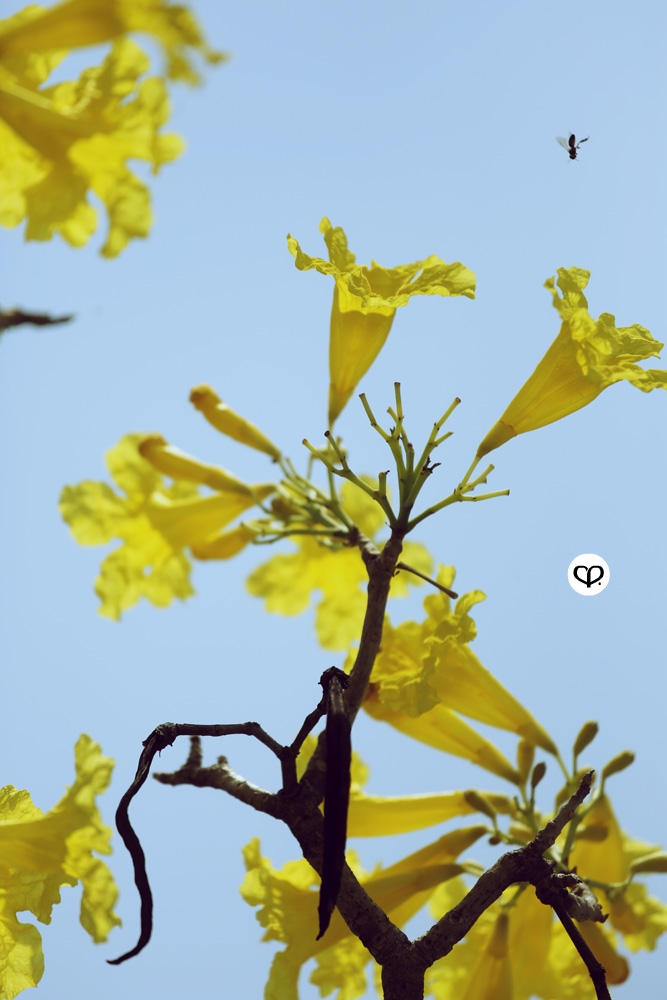 heartpatrick heartifacts industrial vintage furniture renovations