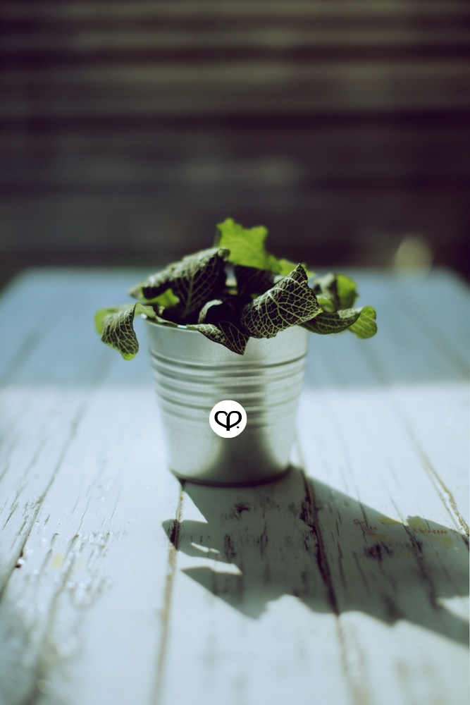 heartpatrick heartifacts industrial vintage furniture renovations