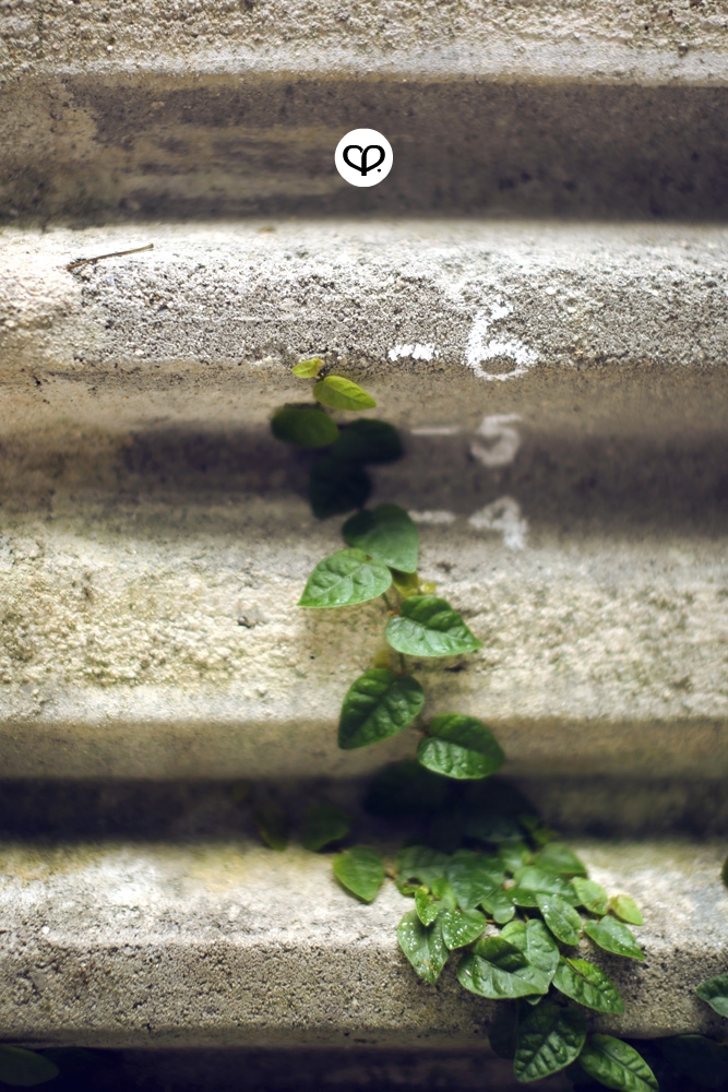 heartpatrick heartifacts industrial vintage furniture renovations