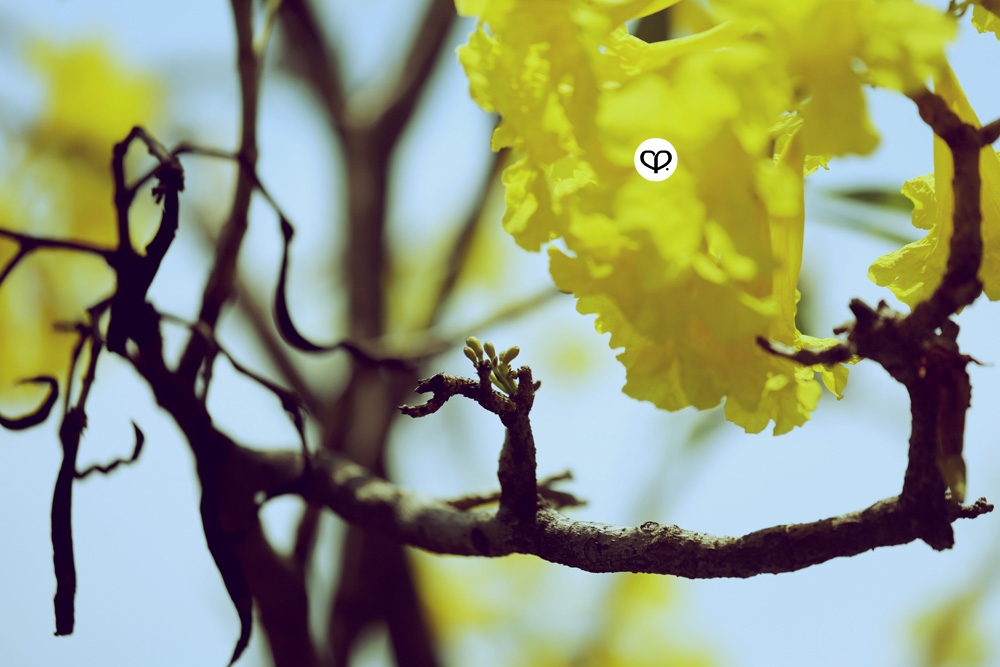 heartpatrick heartifacts industrial vintage furniture renovations