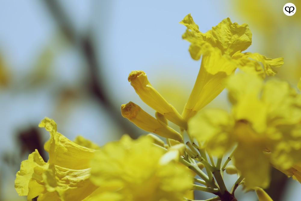 heartpatrick heartifacts industrial vintage furniture renovations