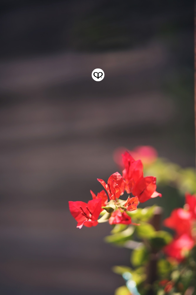 heartpatrick heartifacts industrial vintage furniture renovations