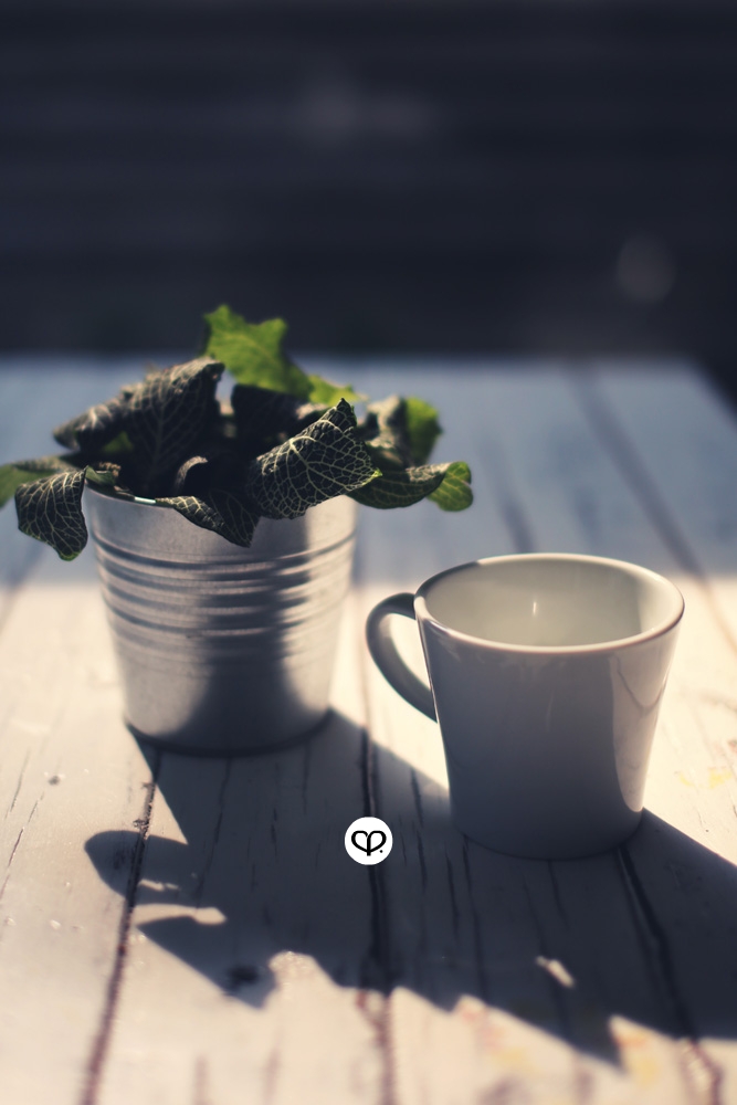 heartpatrick heartifacts industrial vintage furniture renovations