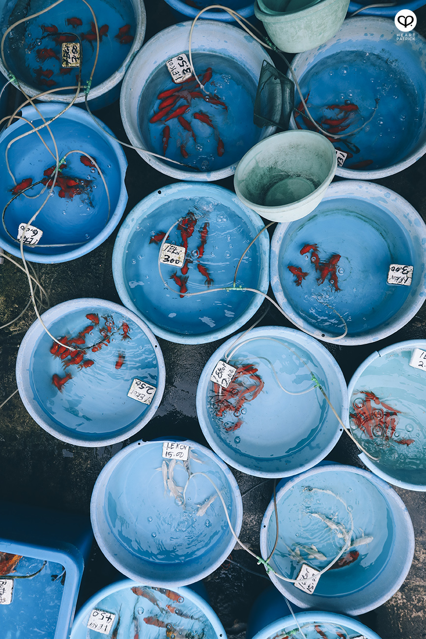 heartpatrick urban heritage heartandthecity kuala lumpur street photography