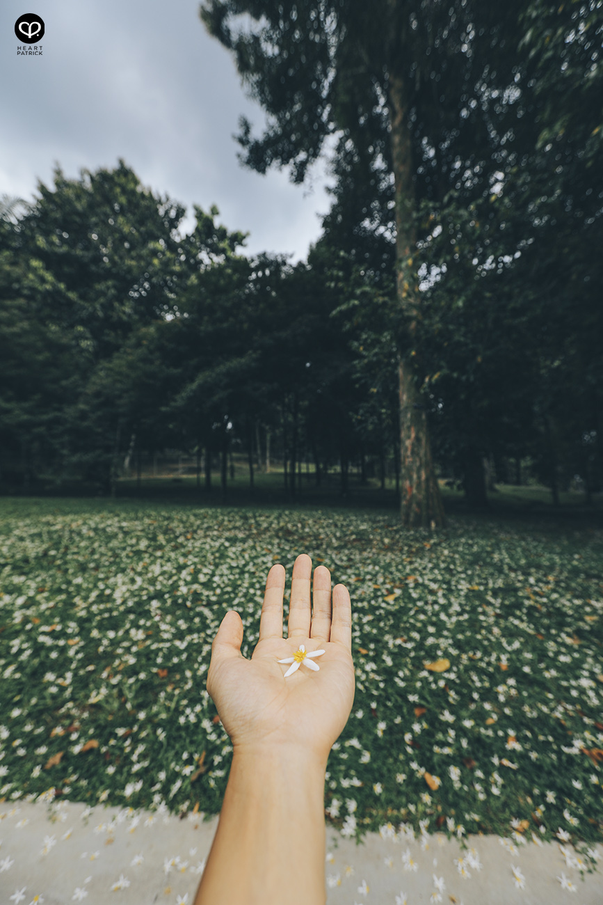 heartpatrick travel street photojournalism urban exploring architecture kuala lumpur malaysia