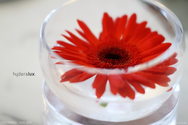 heartpatrick india hyderabad westin hotel