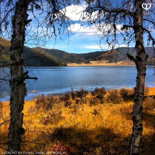 heartpatrick instagram