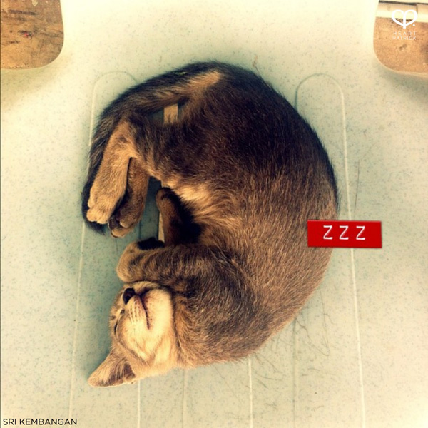 heartpatrick instagram