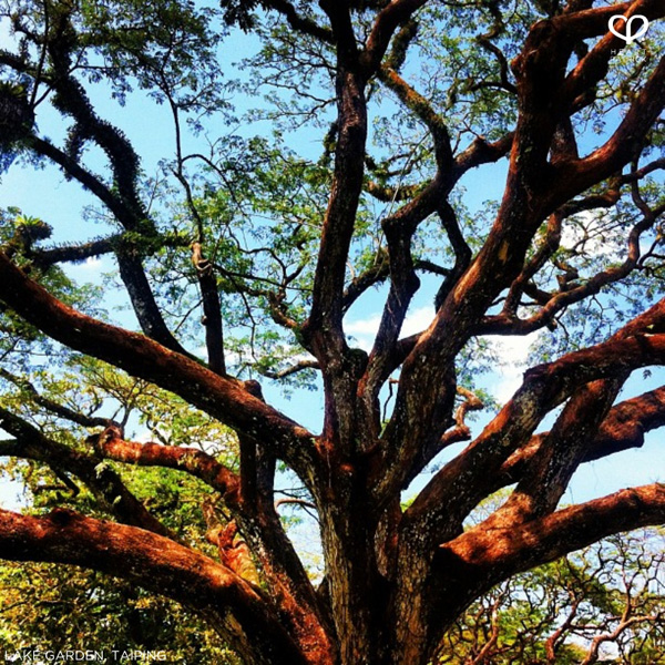 heartpatrick instagram