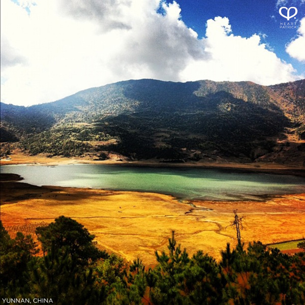 heartpatrick instagram