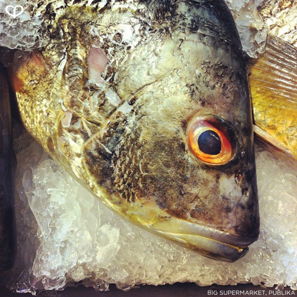 heartpatrick instagram