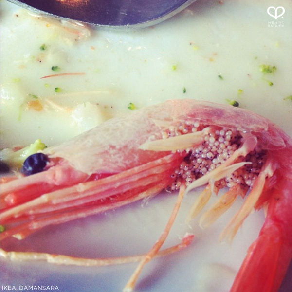 heartpatrick instagram