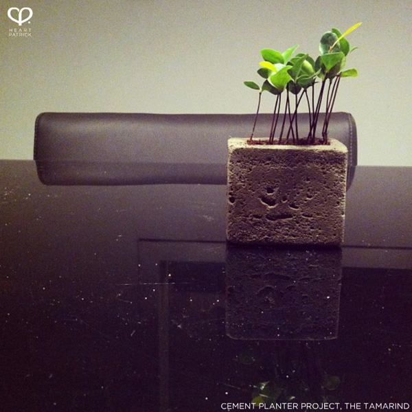 heartpatrick instagram