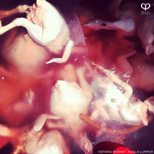 heartpatrick instagram