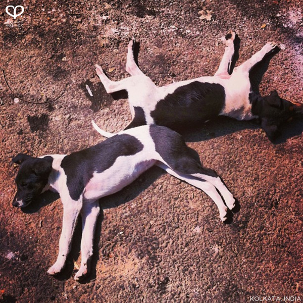 heartpatrick instagram