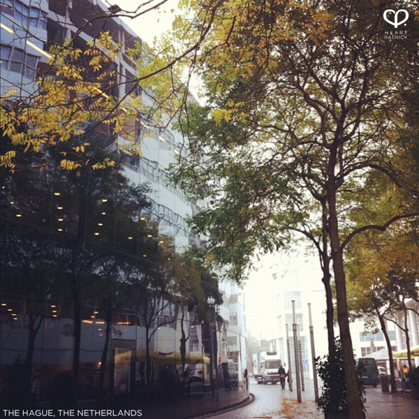 heartpatrick instagram