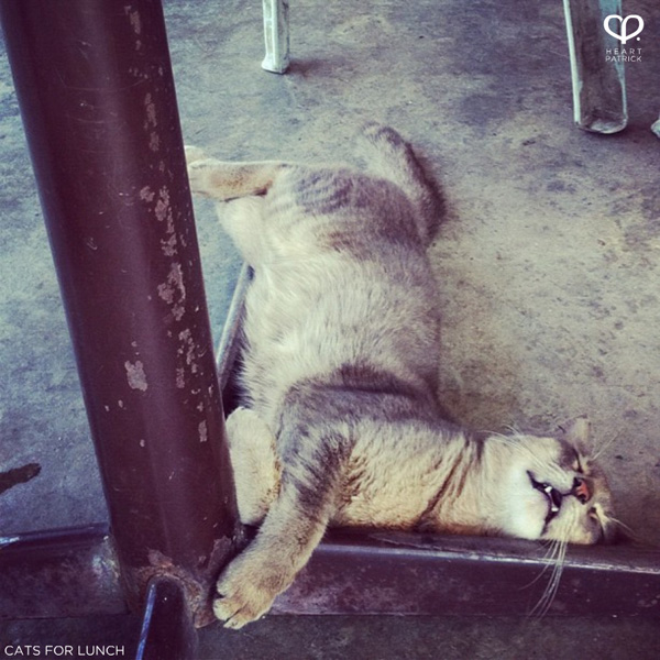 heartpatrick instagram