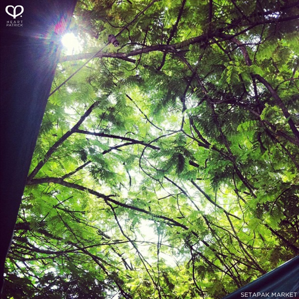 heartpatrick instagram