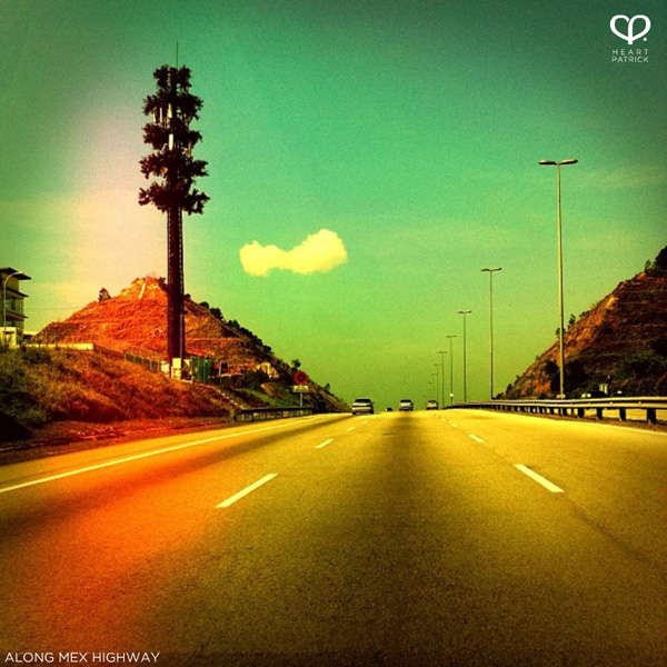 heartpatrick instagram