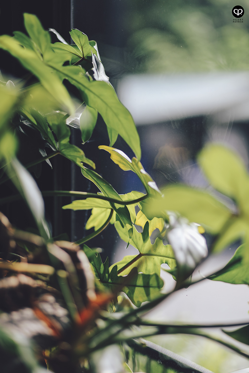 heartpatrick interior photography iron hotel bangkok