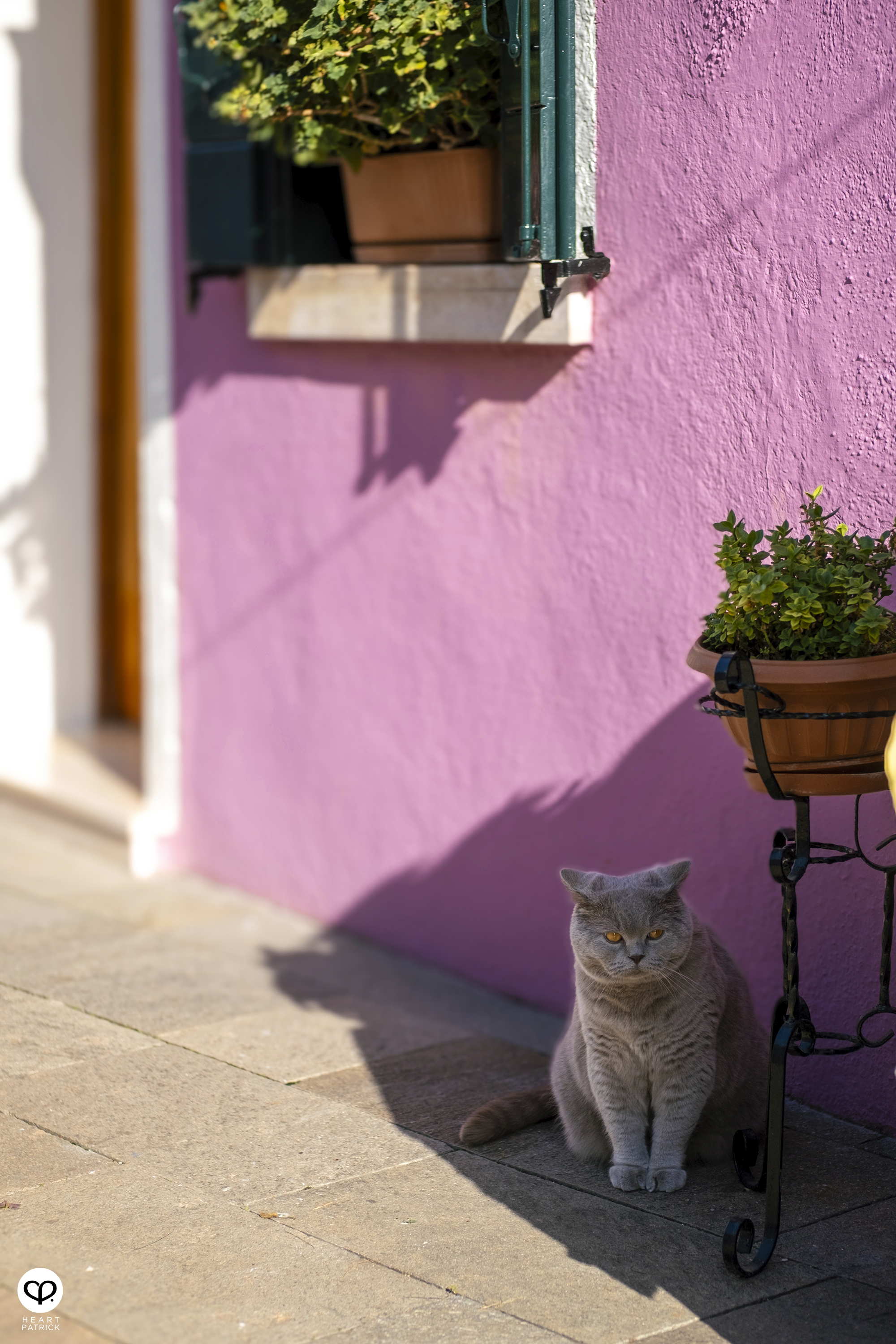 heartpatrick travel burano island venice italy colorful town