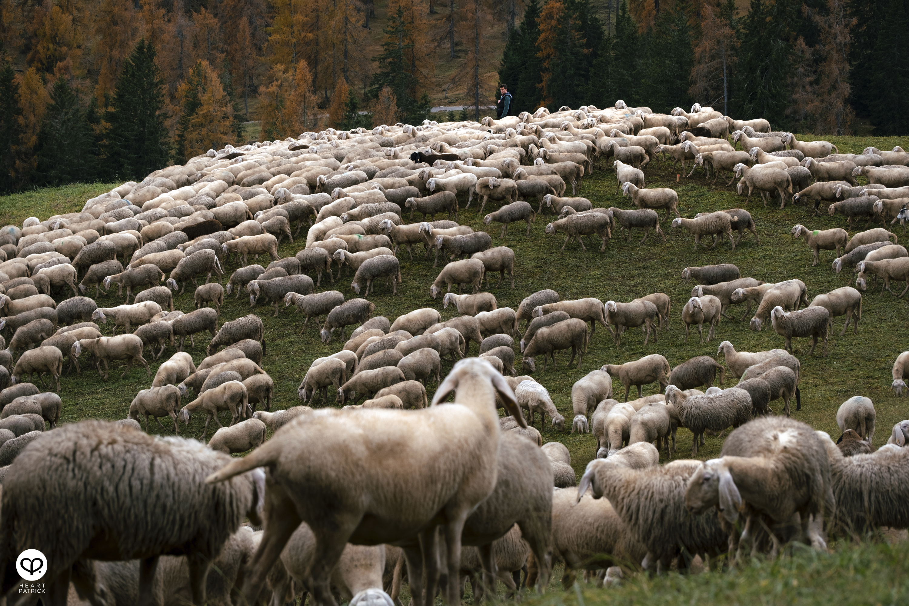 heartpatrick travel aerial photography dolomites dolomiti italy