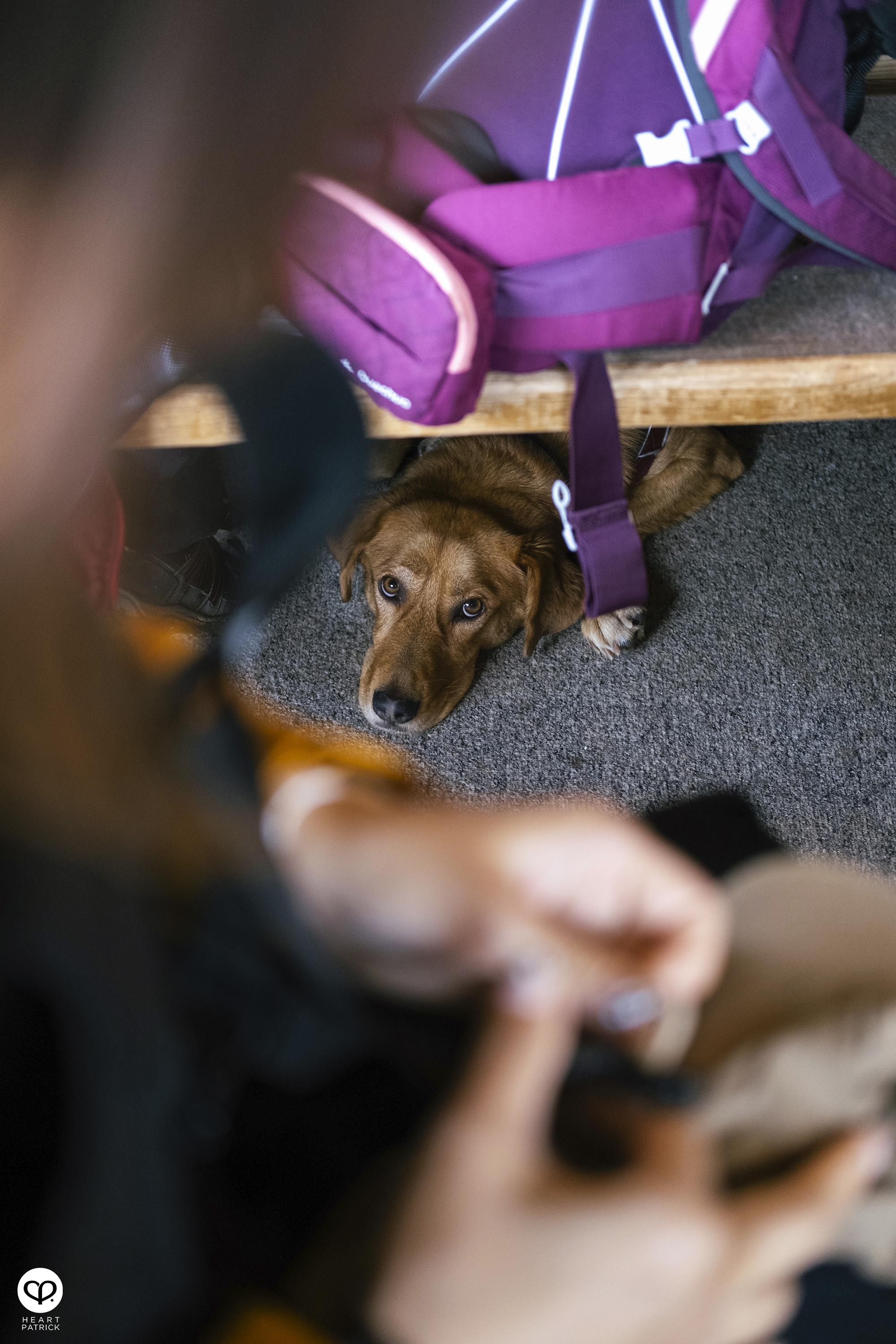 heartpatrick travel aerial photography dolomites dolomiti italy