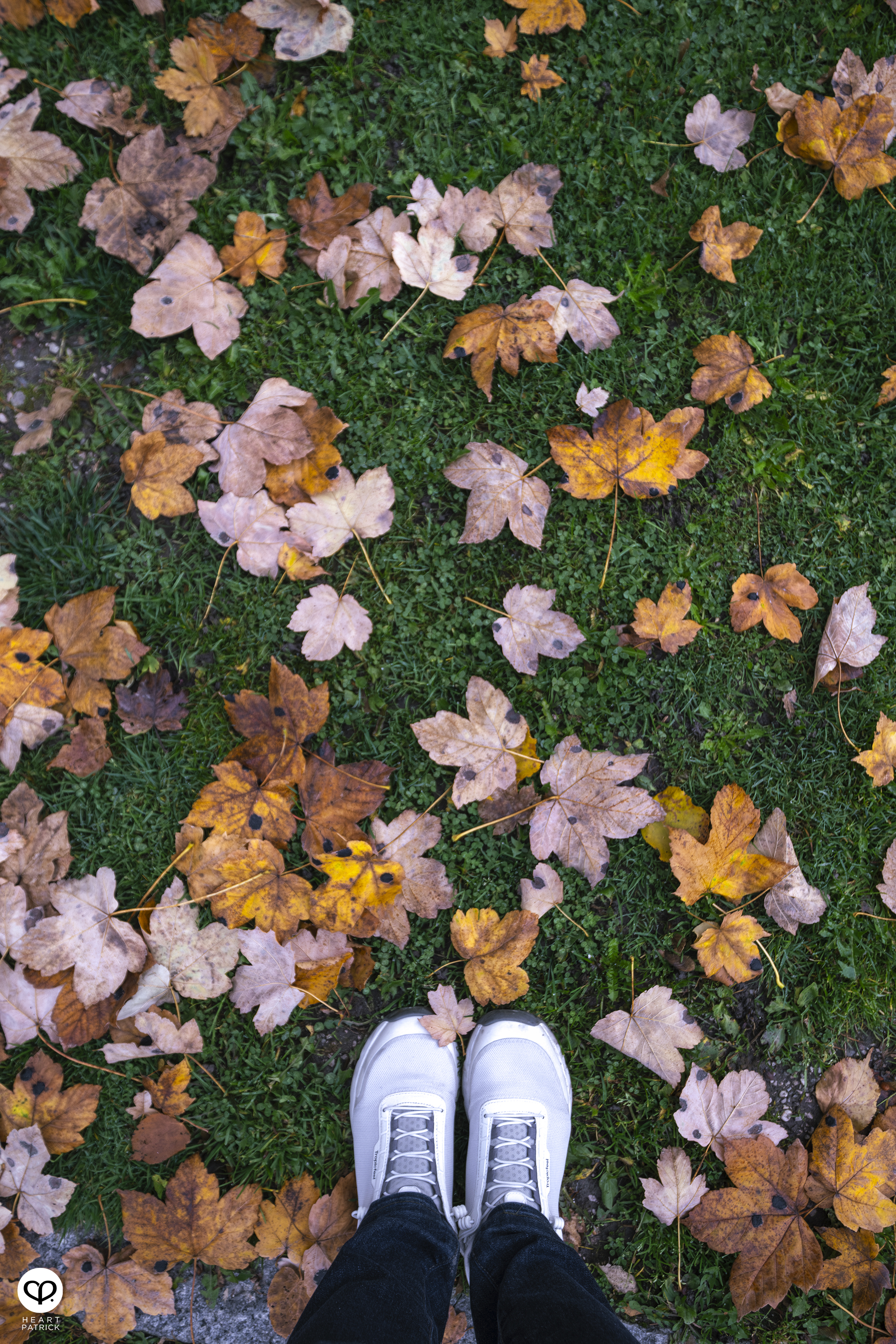 heartpatrick travel aerial photography dolomites dolomiti italy