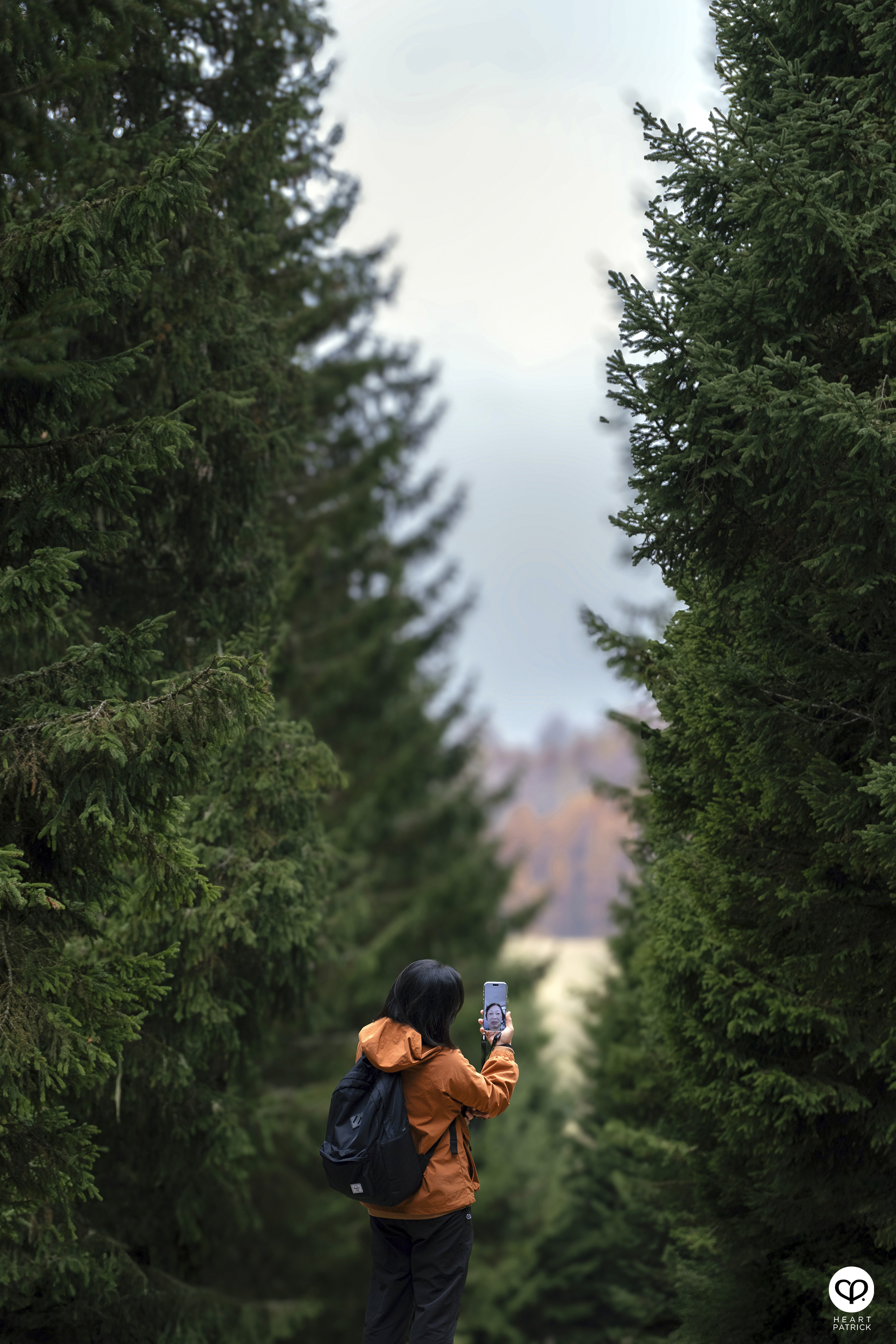 heartpatrick travel aerial photography seceda ridgeline dolomites italy