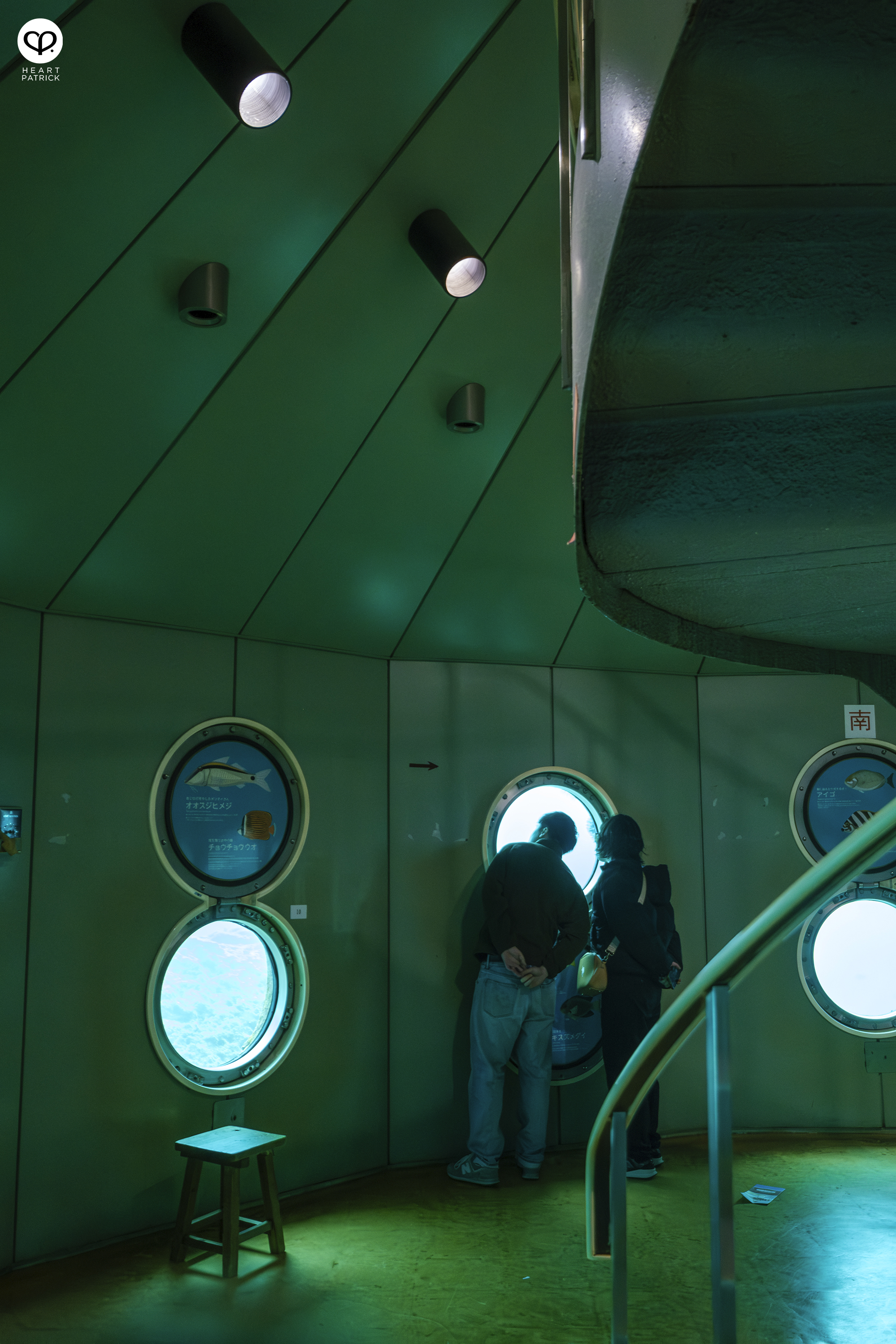 heartpatrick travel japan ashizuri kaiyokan aquarium kochi shikoku