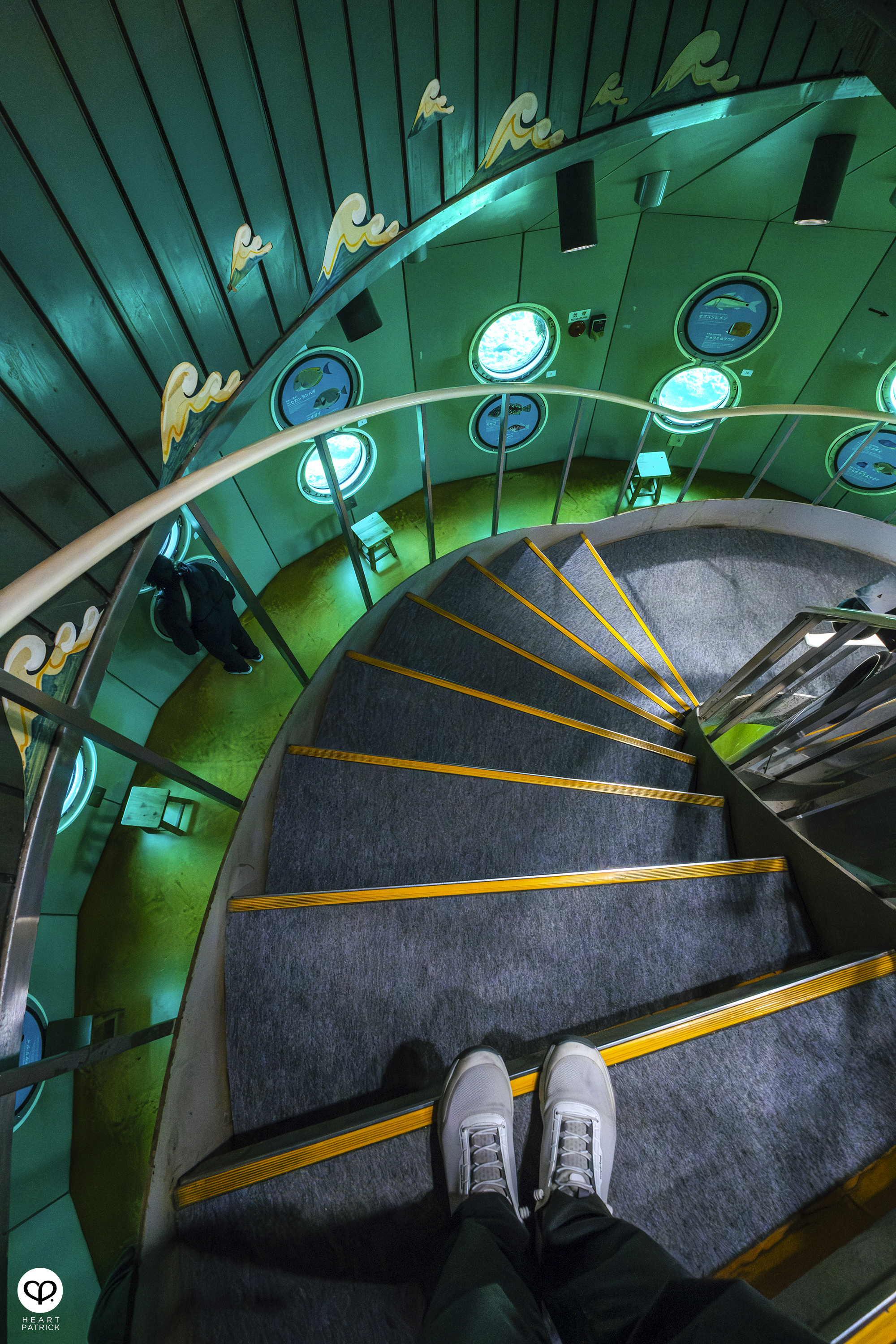 heartpatrick travel japan ashizuri kaiyokan aquarium kochi shikoku