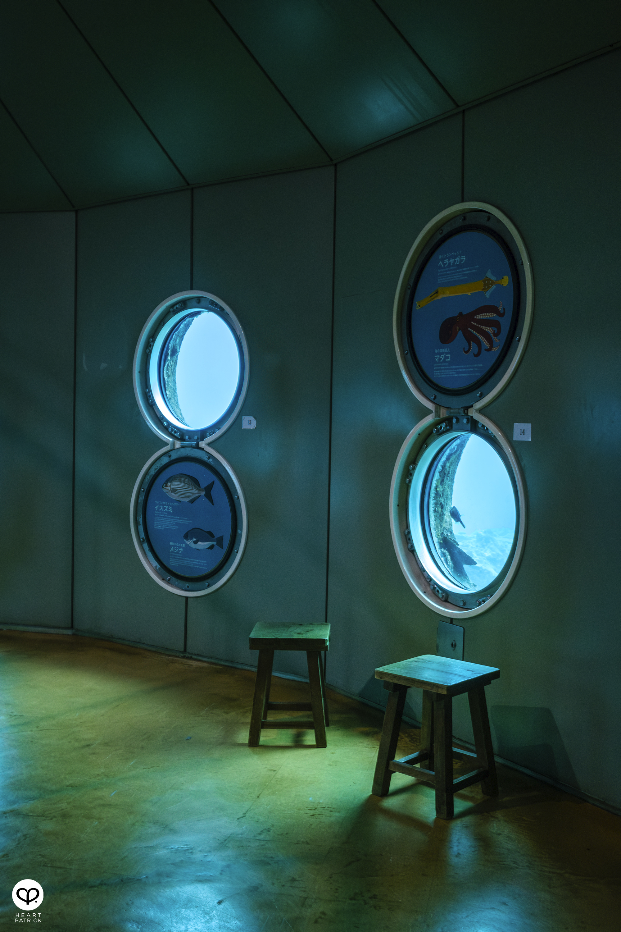 heartpatrick travel japan ashizuri kaiyokan aquarium kochi shikoku