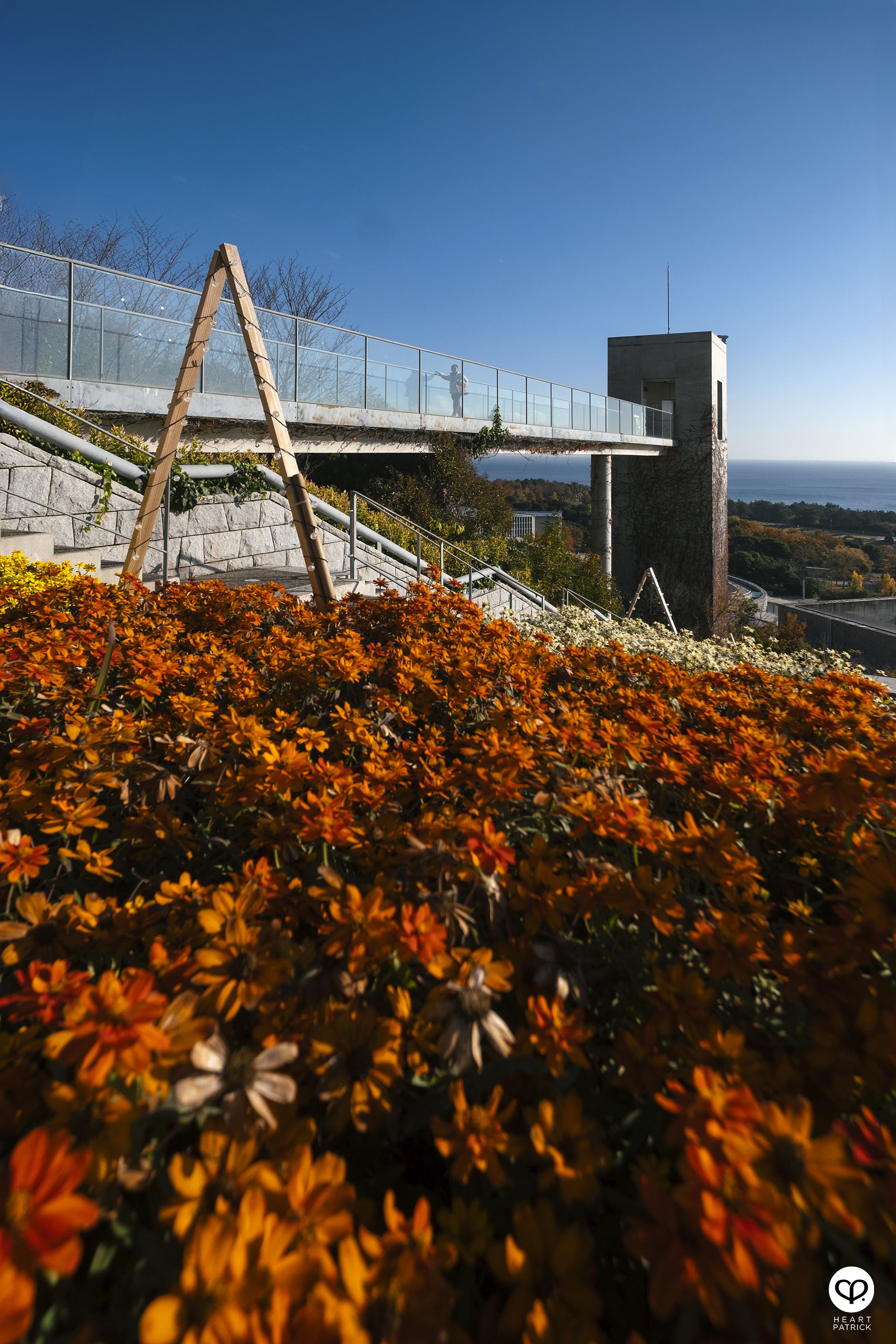 heartpatrick architecture photography awaji yumebutai tadao ando japan