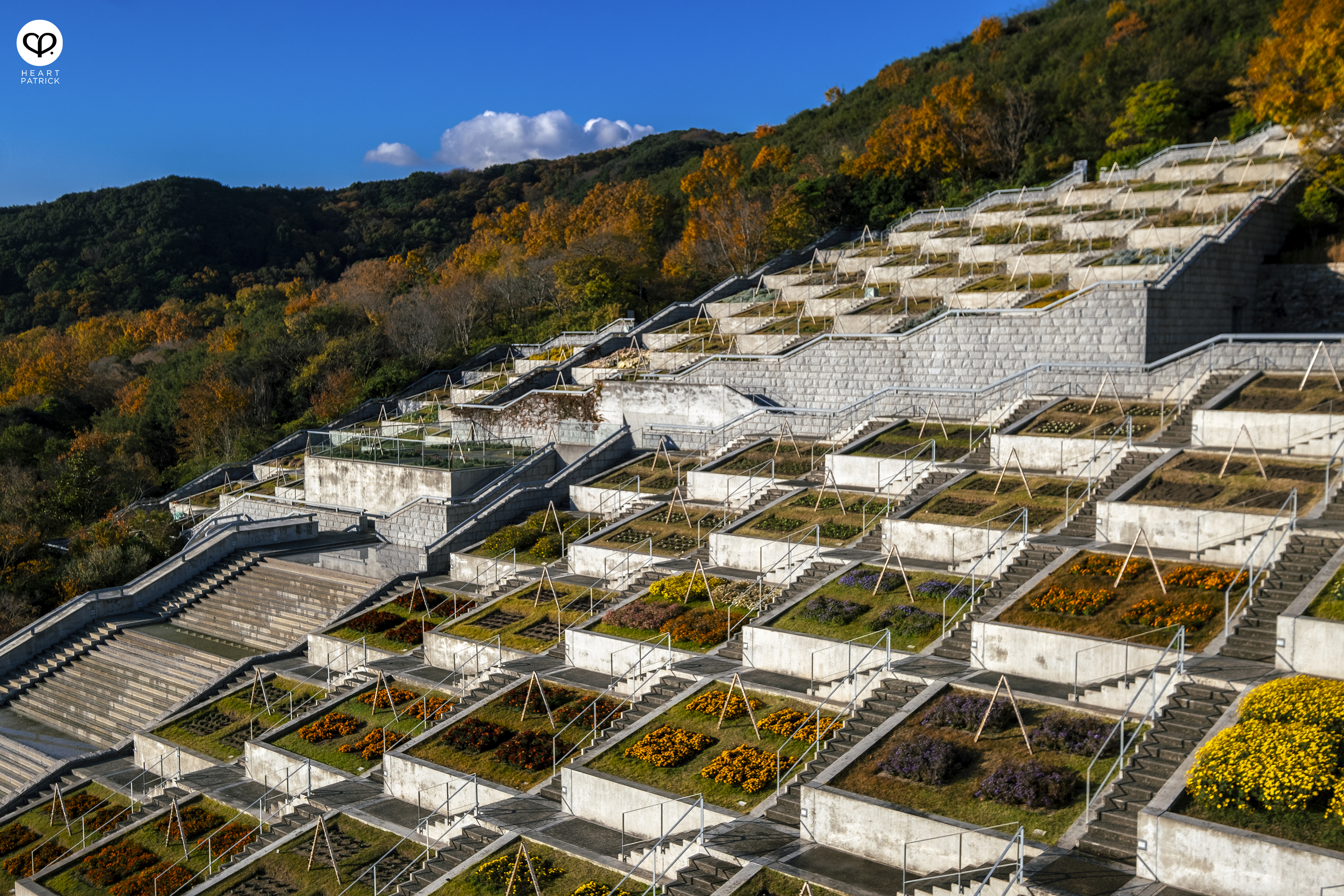 heartpatrick architecture photography awaji yumebutai tadao ando japan