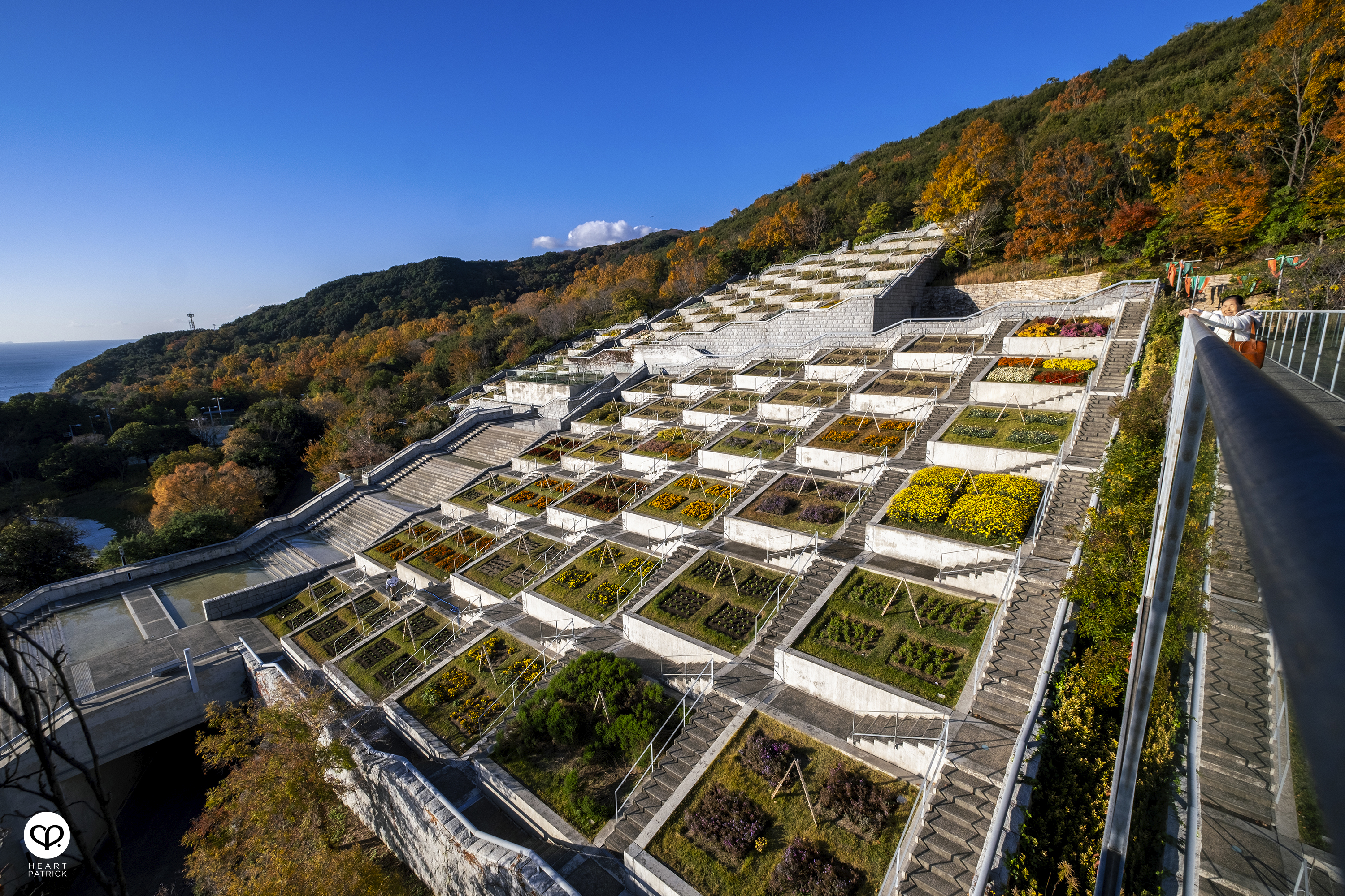 heartpatrick architecture photography awaji yumebutai tadao ando japan