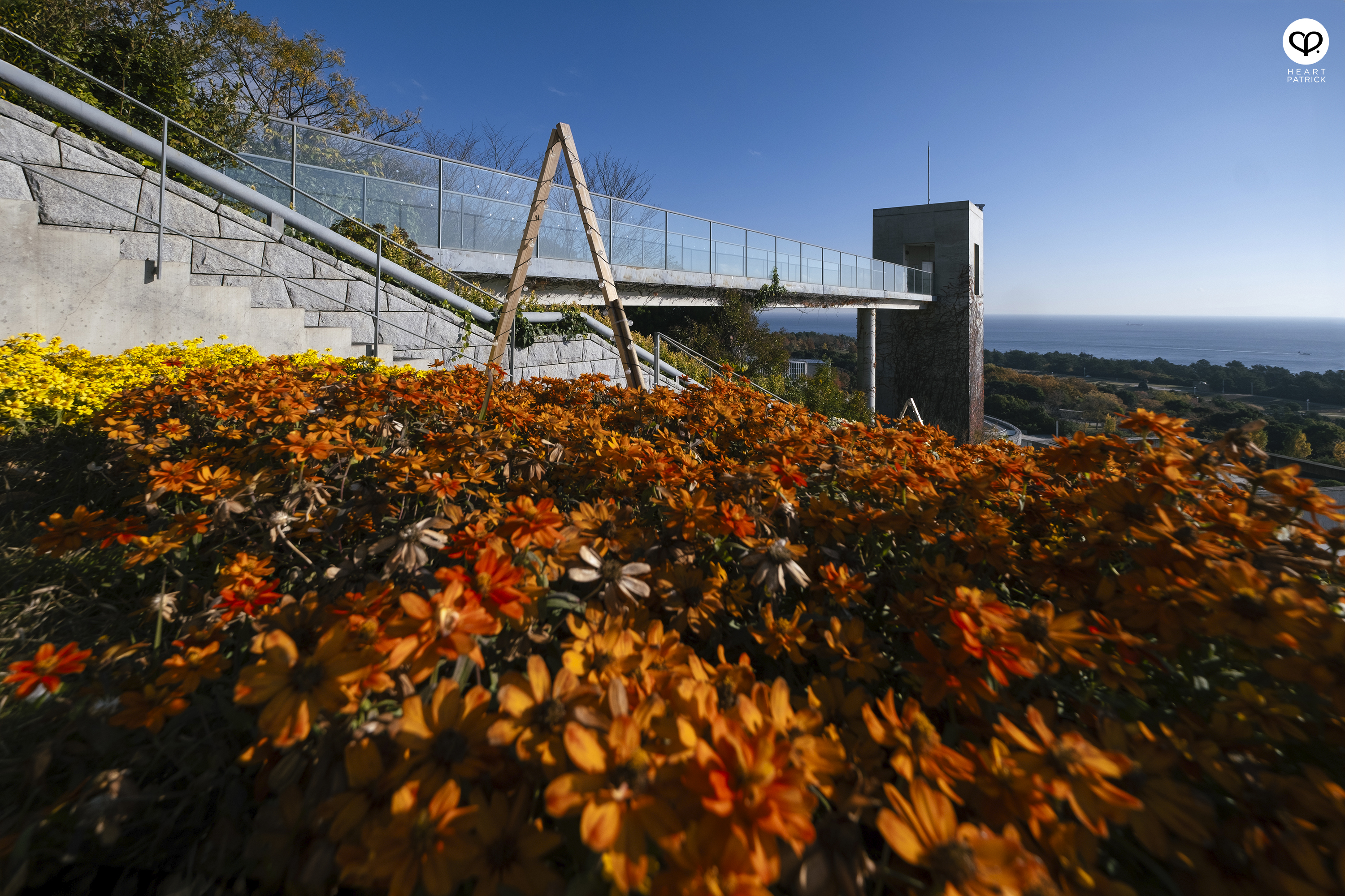heartpatrick architecture photography awaji yumebutai tadao ando japan