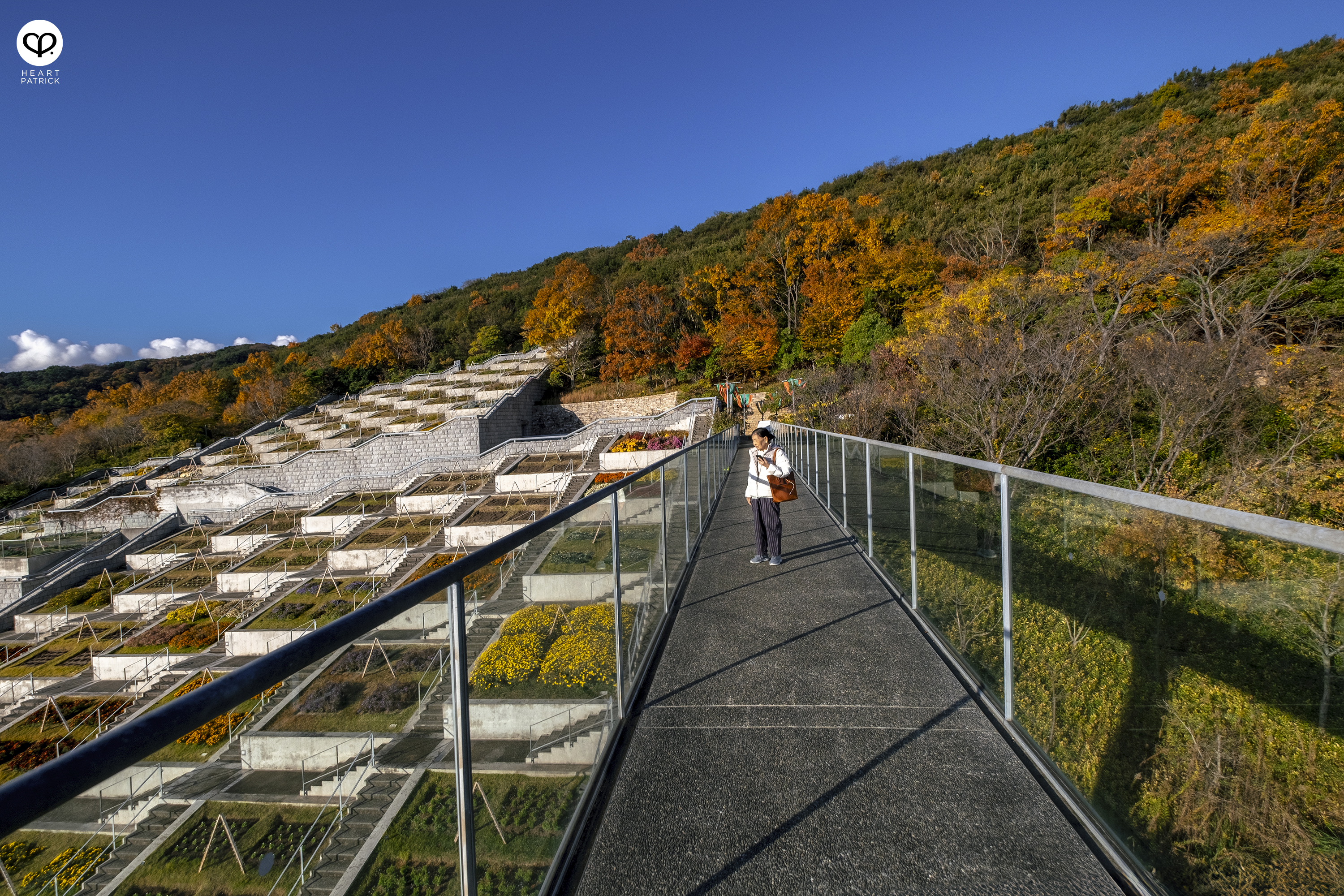 heartpatrick architecture photography awaji yumebutai tadao ando japan