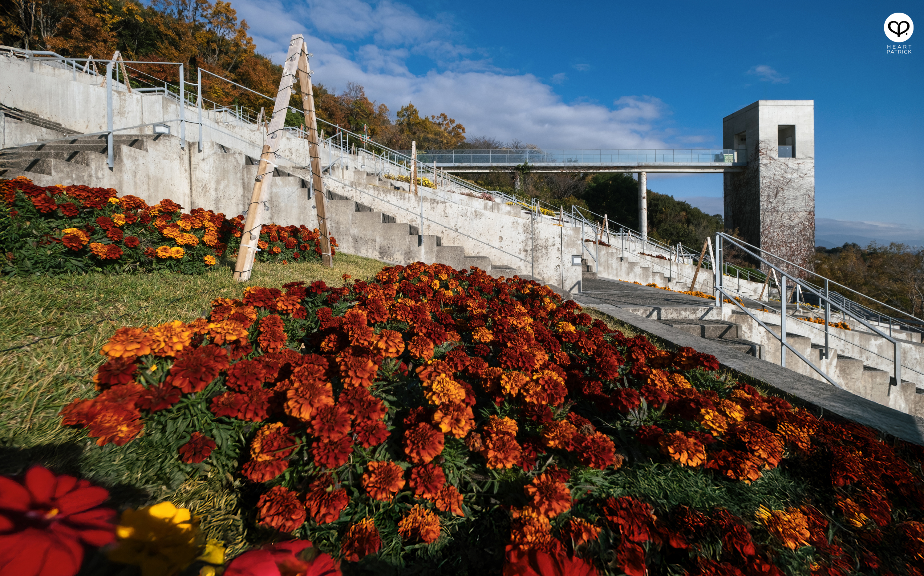 heartpatrick architecture photography awaji yumebutai tadao ando japan