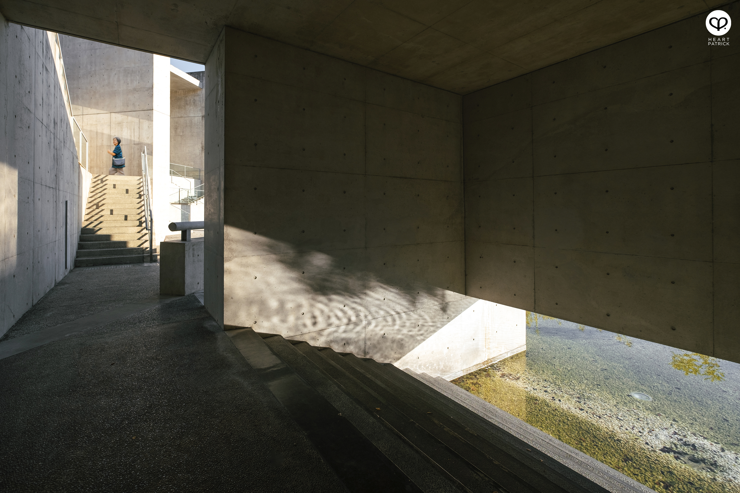 heartpatrick architecture photography awaji yumebutai tadao ando japan