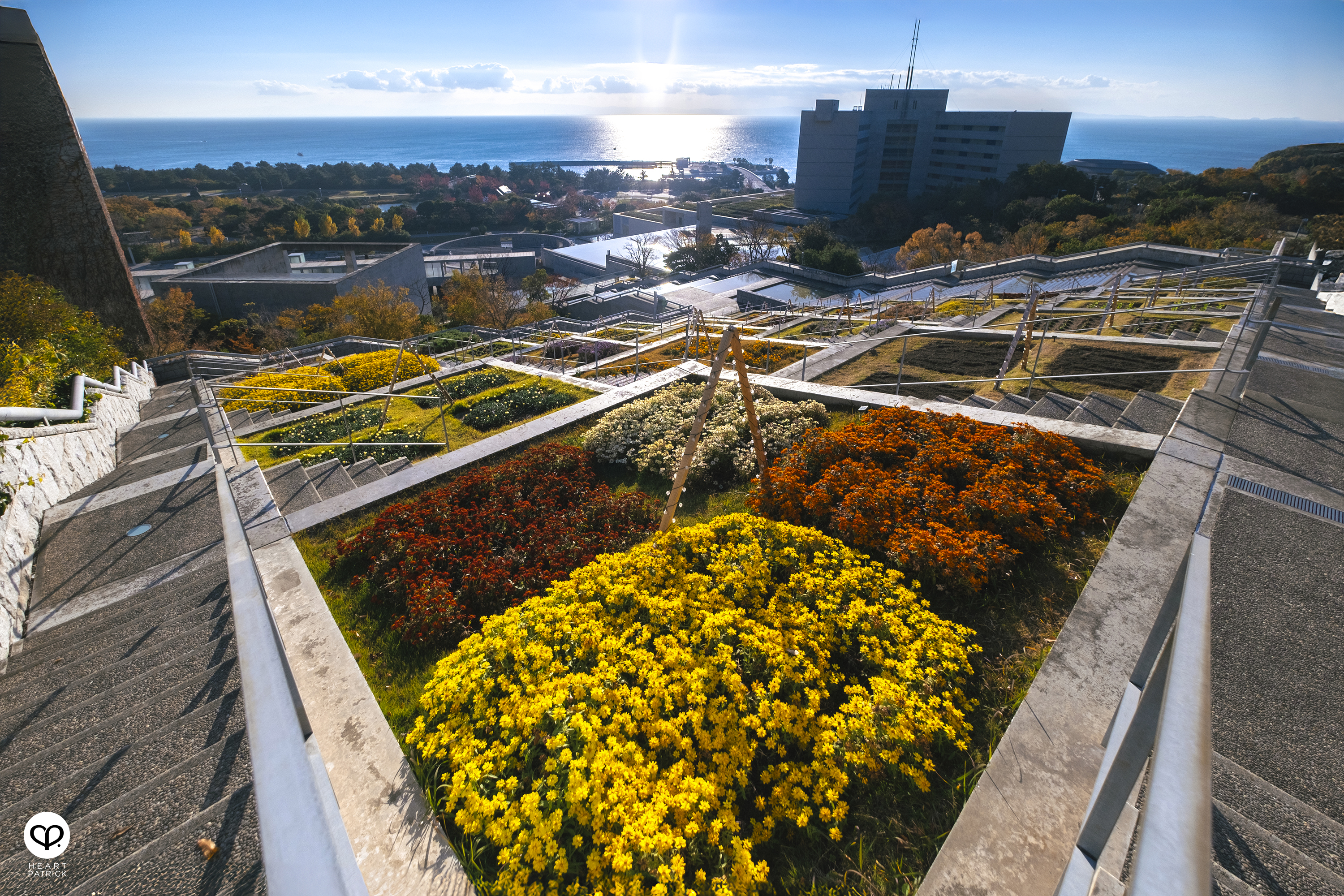 heartpatrick architecture photography awaji yumebutai tadao ando japan