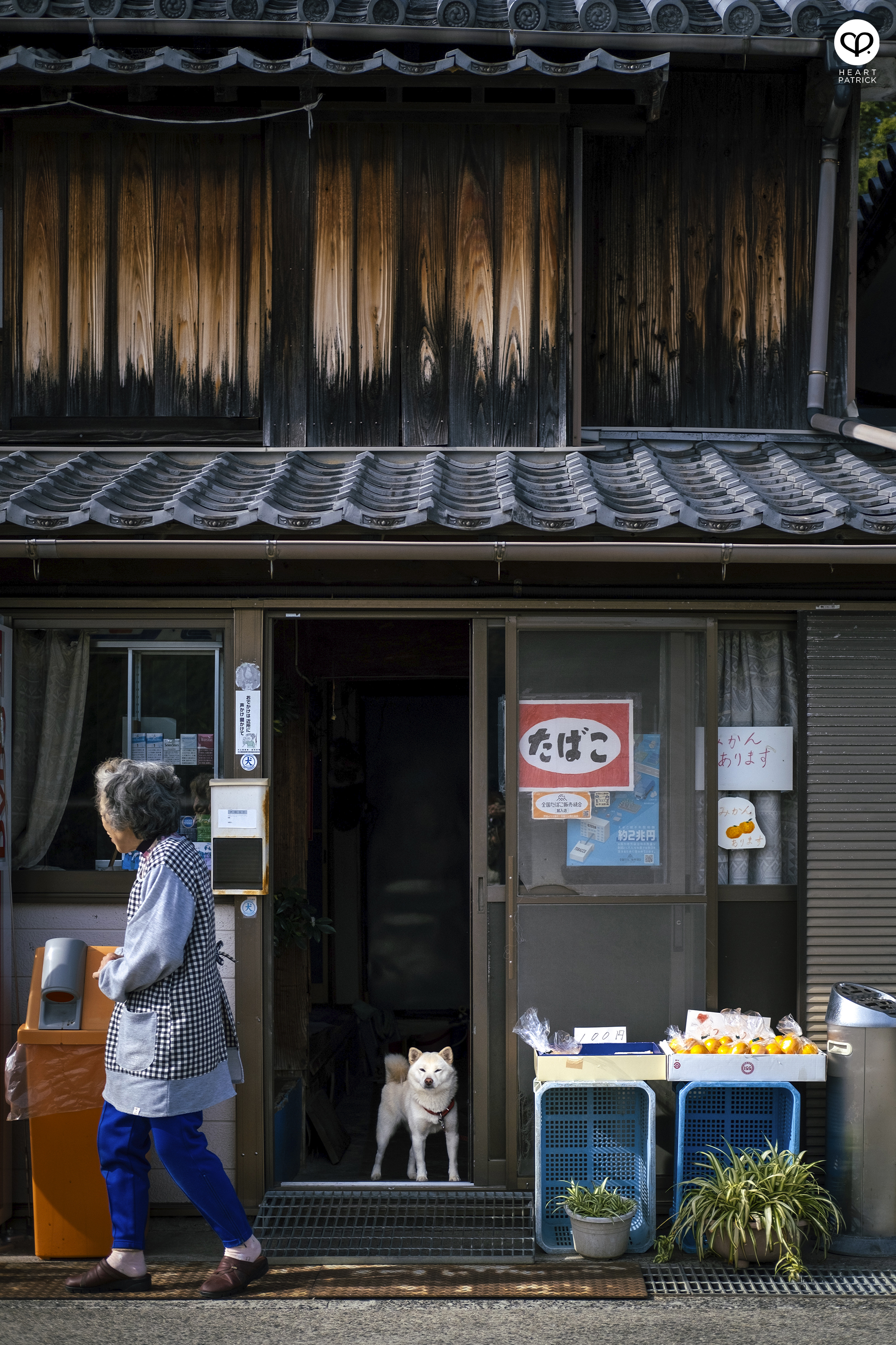 heartpatrick travel aerial heritage photography townscape mitarai hiroshima japan