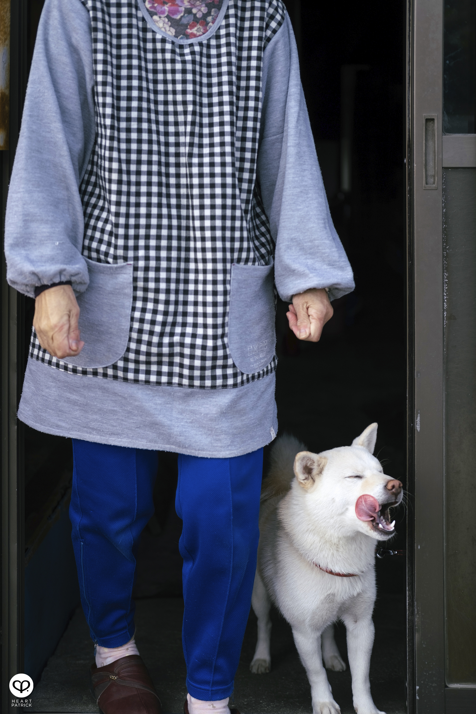 heartpatrick travel aerial heritage photography townscape mitarai hiroshima japan