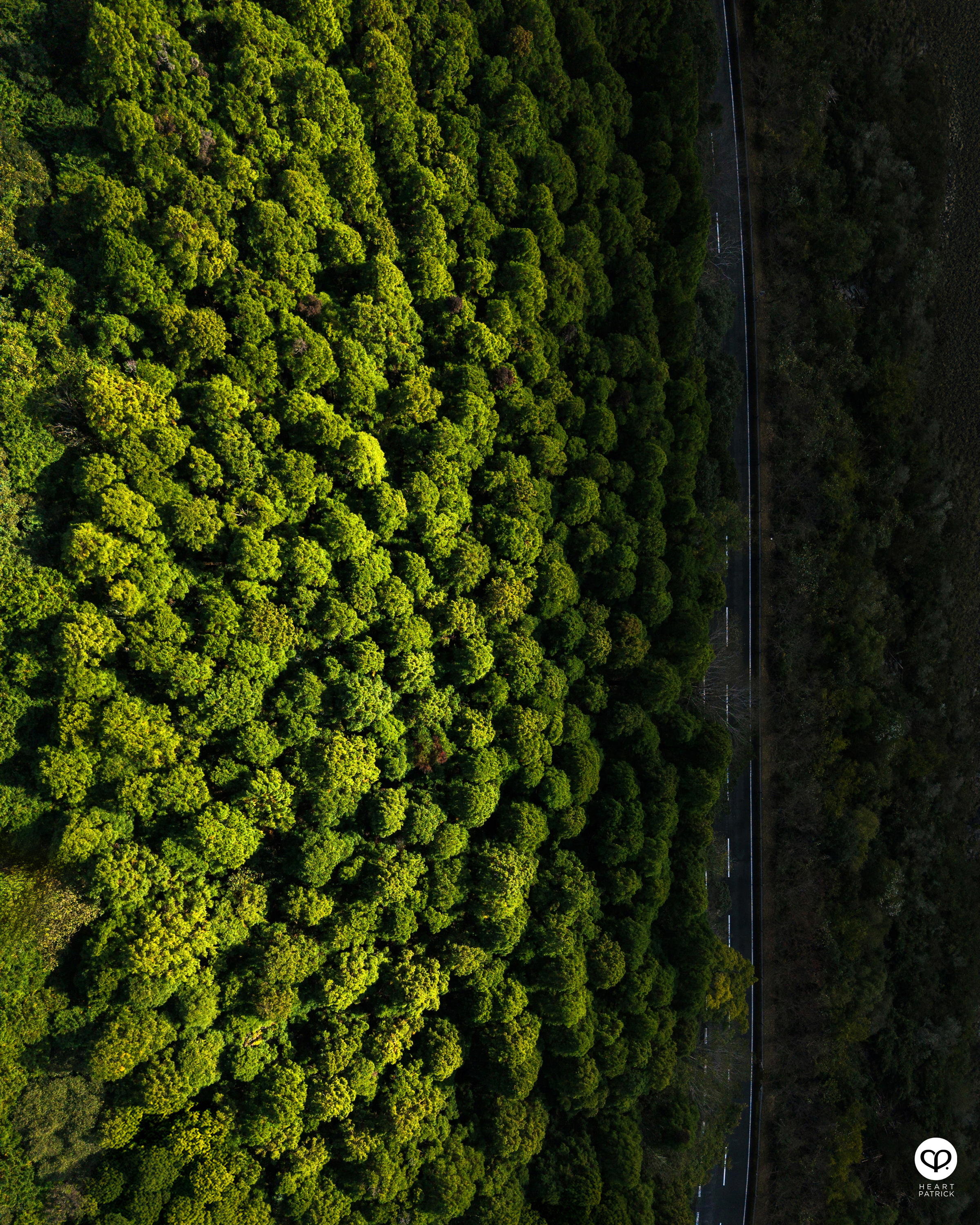 heartpatrick travel roadtrip japan photography hiroshima shikoku island