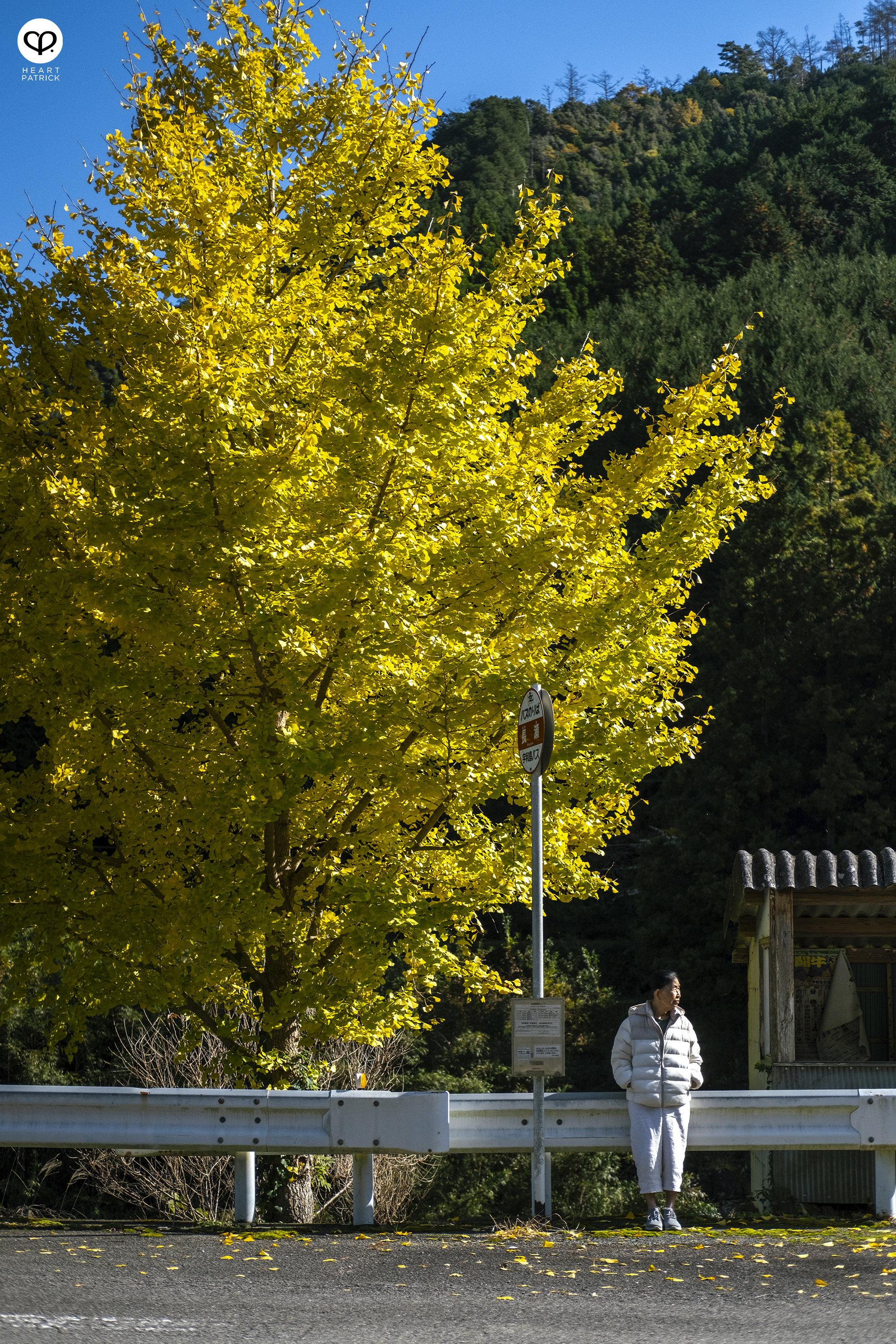heartpatrick travel roadtrip japan photography hiroshima shikoku island