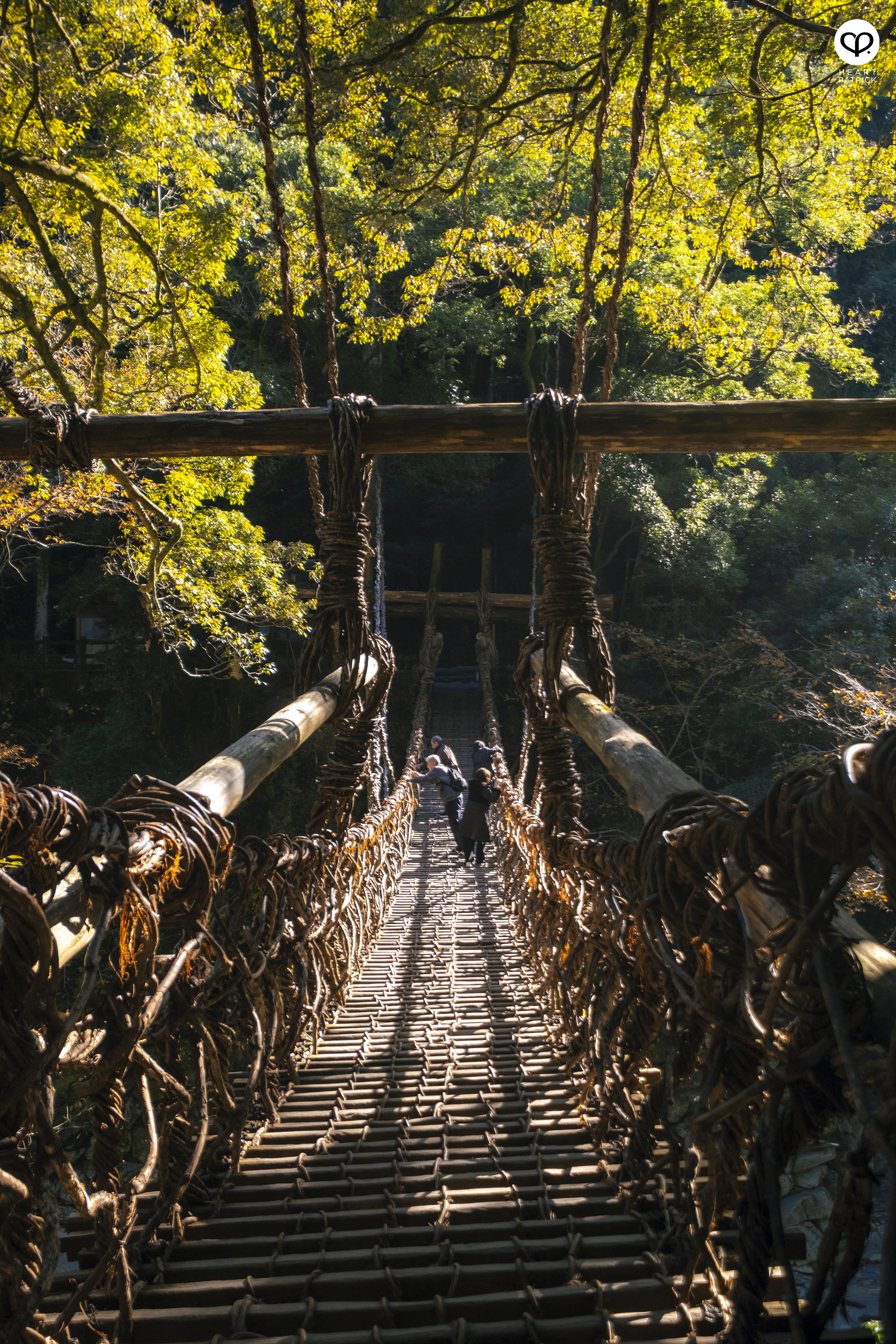 heartpatrick travel photography autumn iya valley tokushima japan