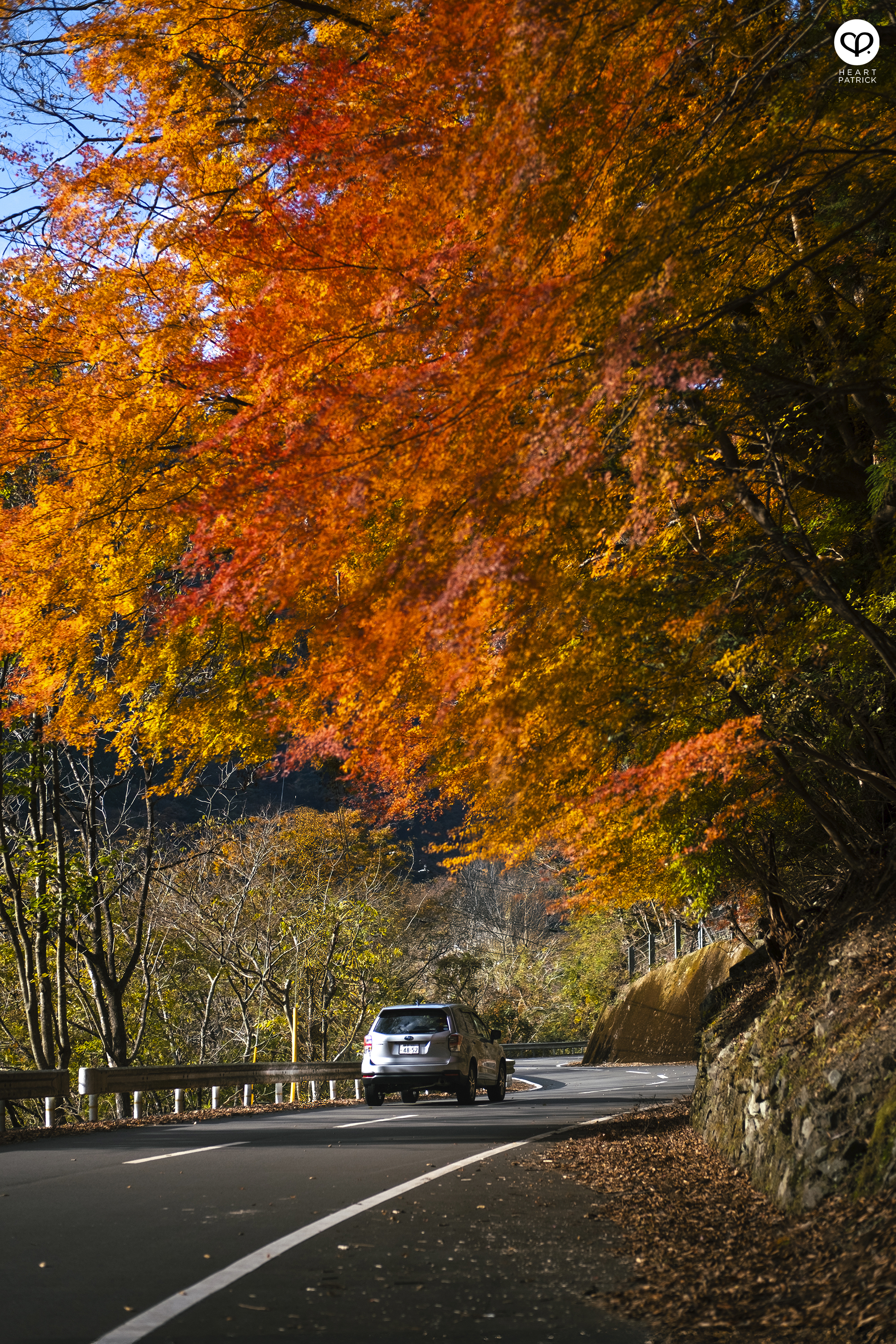 heartpatrick travel photography autumn iya valley tokushima japan