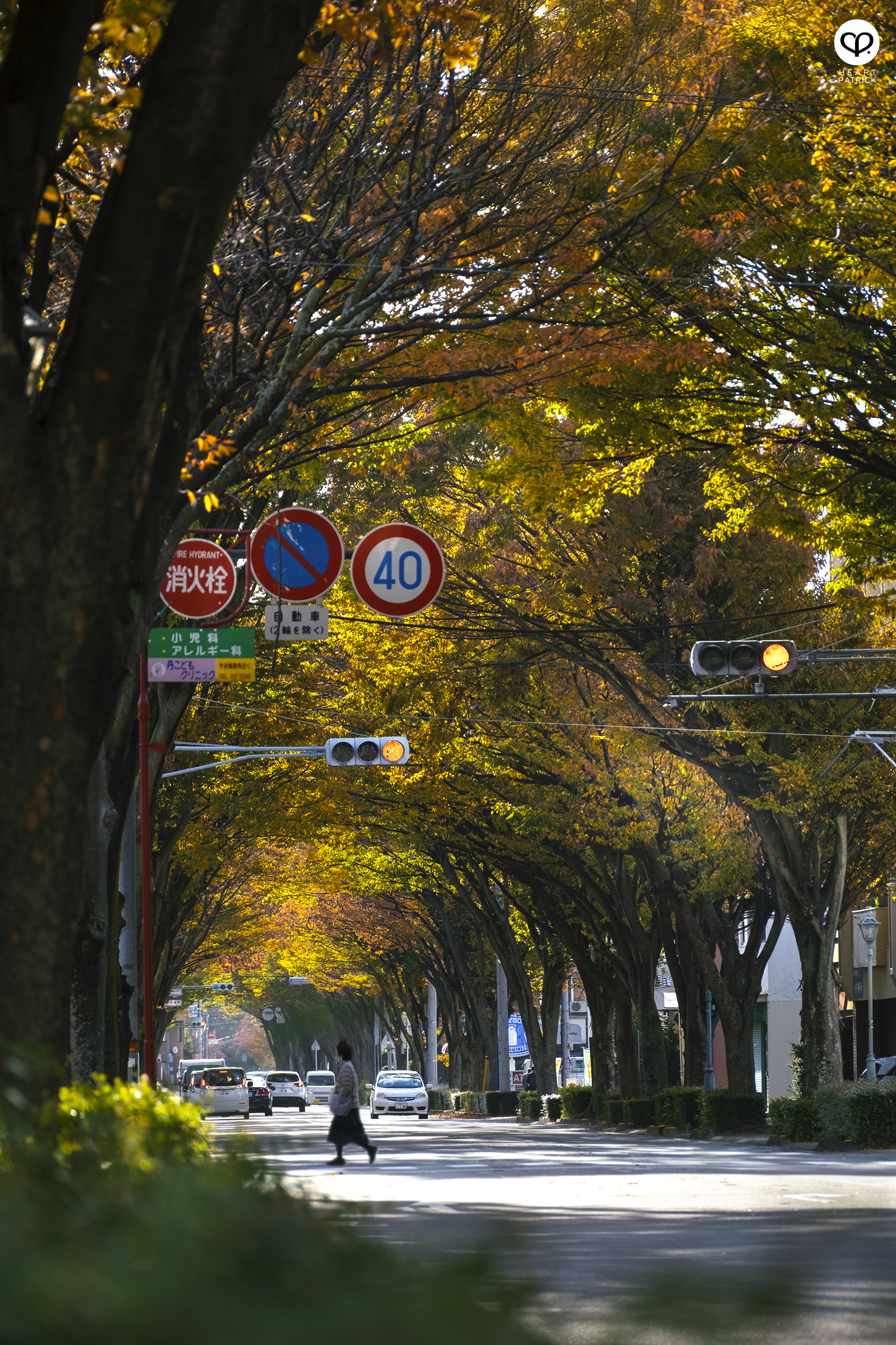 heartpatrick travel photography lonely abandoned town depopulation japan shikoku island 